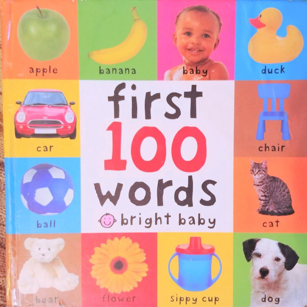 First 100 Words Board Book Roger Priddy baby language kid children language Nice